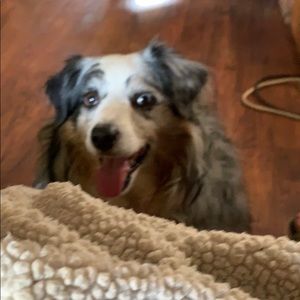 Meet your Posher, Melissa